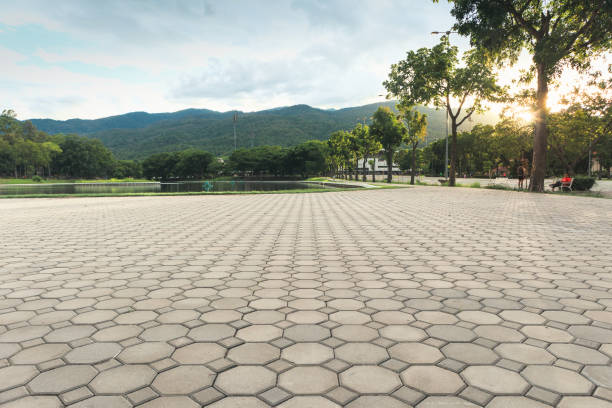 Best Local Driveway Pavers  in El Mirage, AZ